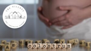 Pregnant mother with the word 'colostrum' representing prenatal education on harvesting colostrum before birth.